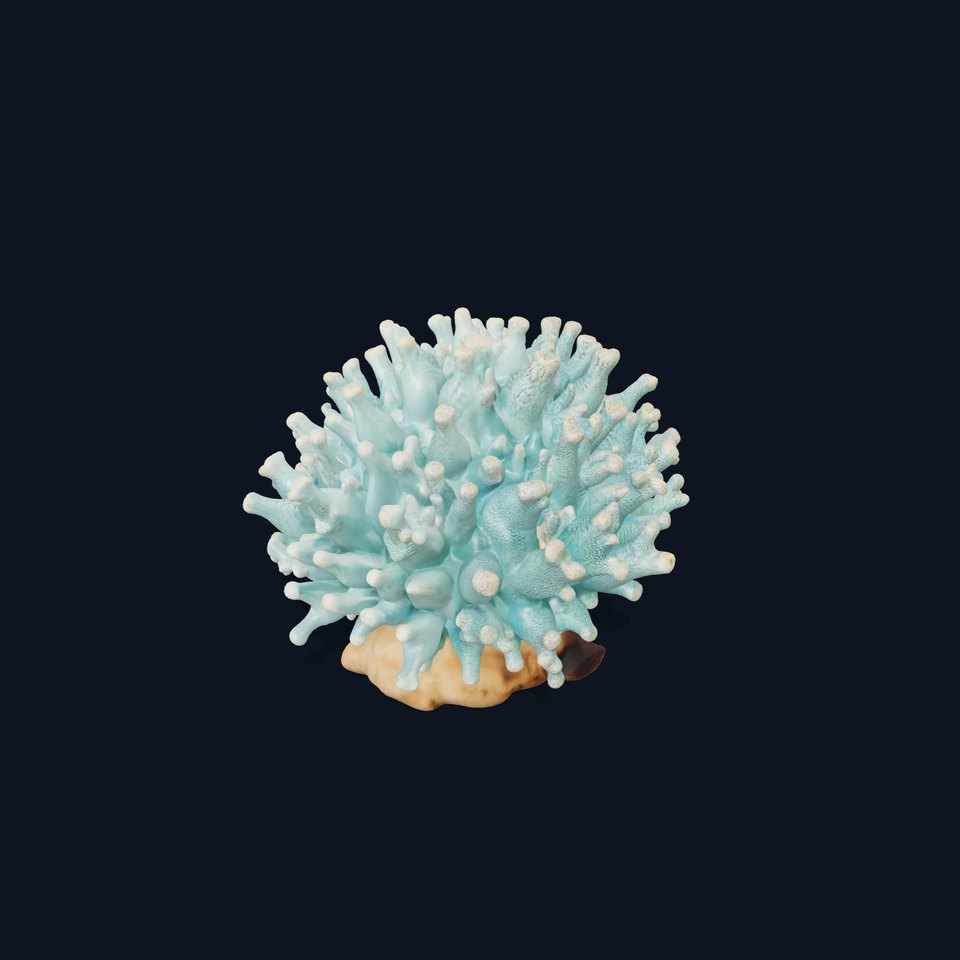 Blue Coral Reef model pack